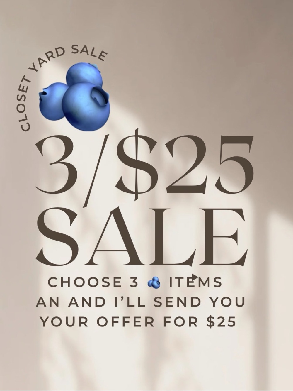 Closet Yard Sale - find the 🫐 and have three items for $25